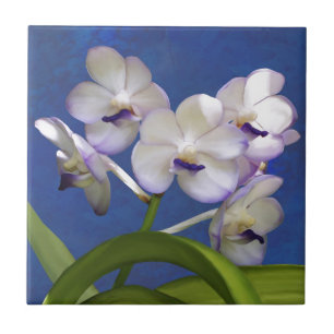 Blüten Blumensträuße Pflanze Farbenfrohe Fotokunst Fliese