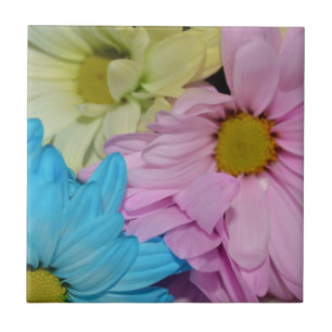 Blüten Daisy Blume Frieden Liebe Natur Schicksal Fliese