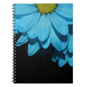 Blüten Daisy Blume Frieden Liebe Natur Schicksal Notizblock