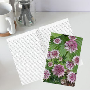 Blüten der rosa Astrantia Floral Notizbuch