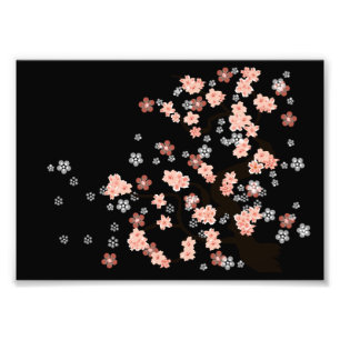 Blüten des japanischen Kirschbaums Fotodruck