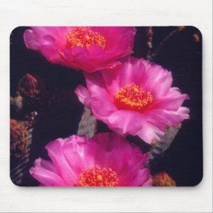 Blüten des Kaktus Beavertail 2 Mousepad