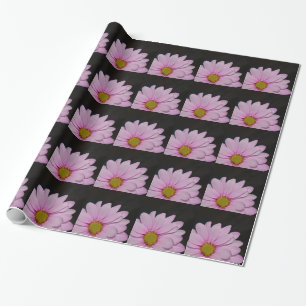 Blüten Gänseblümchen Blumen Frieden Liebe Natur Sc Geschenkpapier