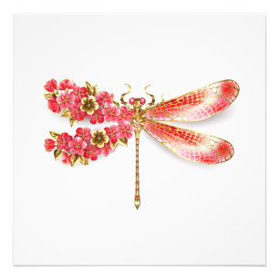 Blüten-Libelle mit Schmuck Sakura Fotodruck