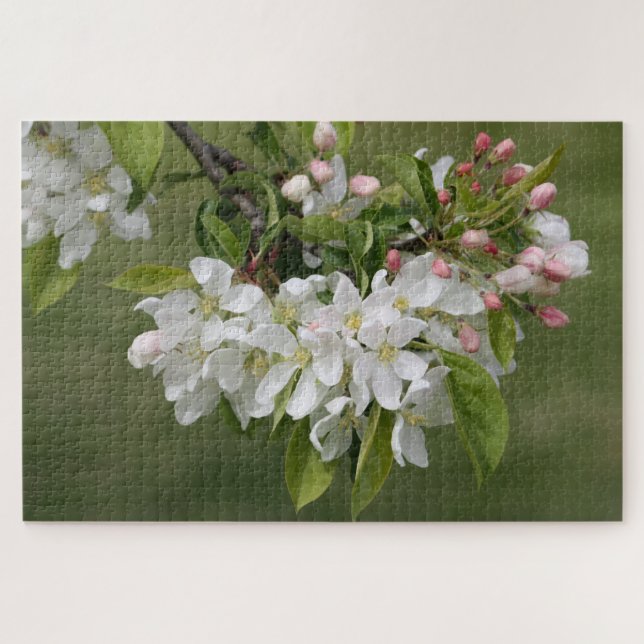 Blüten mit rosa (Horizontal)