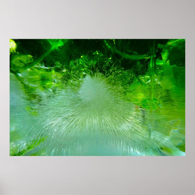 Blüten, Poster (Vorne)