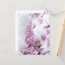 Blüten Postkarte