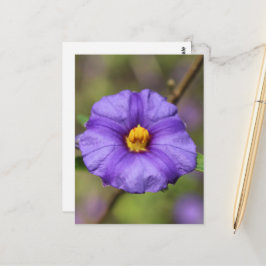 Blüten Postkarte