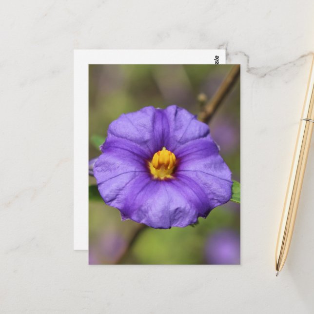 Blüten Postkarte (Vorderseite/Rückseite Beispiel)
