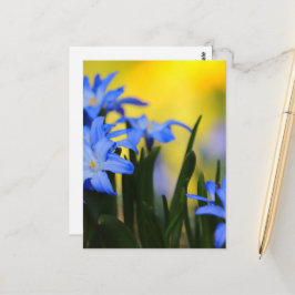 Blüten Postkarte