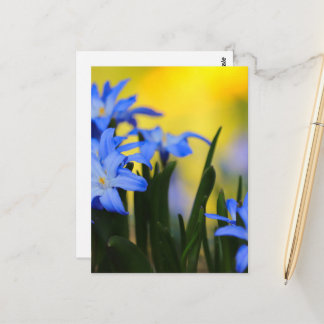 Blüten Postkarte