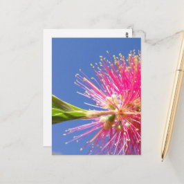Blüten Postkarte