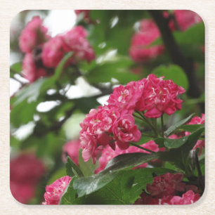 Blüten Rosa Untersetzer mit Blumenmuster