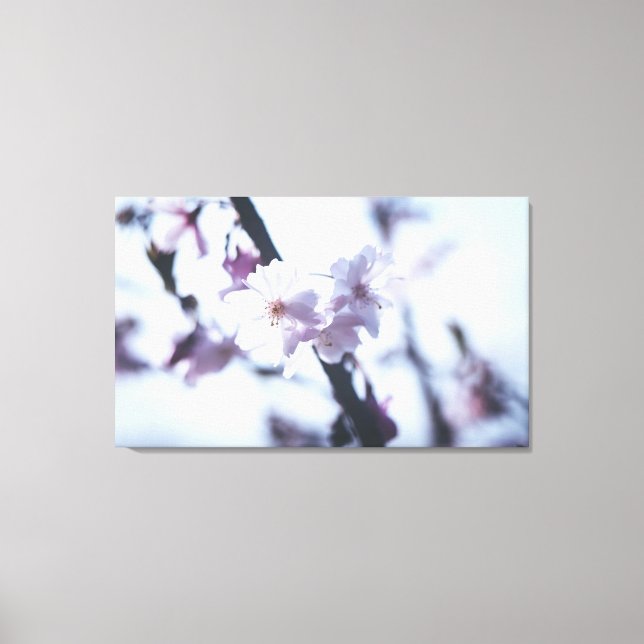 Blütenbaum Leinwanddruck (Vorderseite)