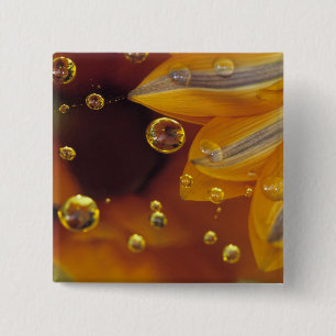 Blütenblätter auf reflektierender Mylar-Oberfläche Button