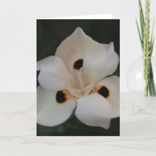 Blütenblätter für kleine Blume Dankeskarte