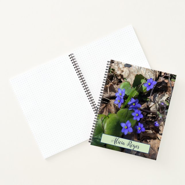 Blütenblumen, hepatica notizbuch (Innenseite)