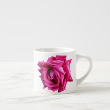 Blütenblütenblütenblüte der hellrosa Rose