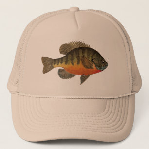 Blütenbrasse Fischerei auf Sonnenfischerei Than Truckerkappe