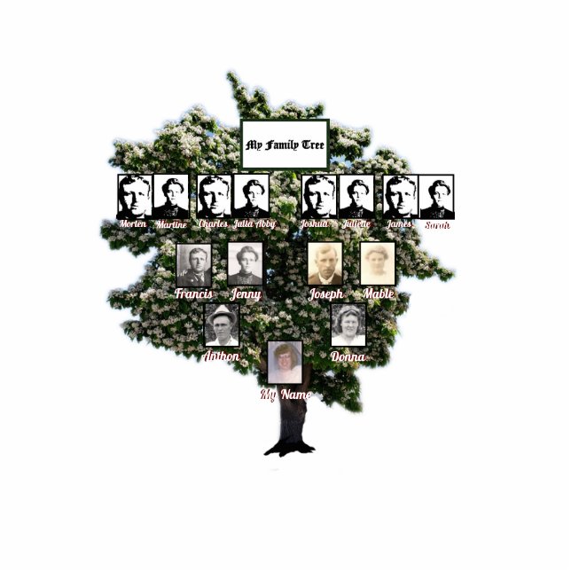 Blütendes grünes Leaf Familie Tree Vier Generation Freistehende Fotoskulptur (Vorne)