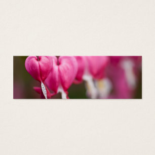 Blutendes Herz