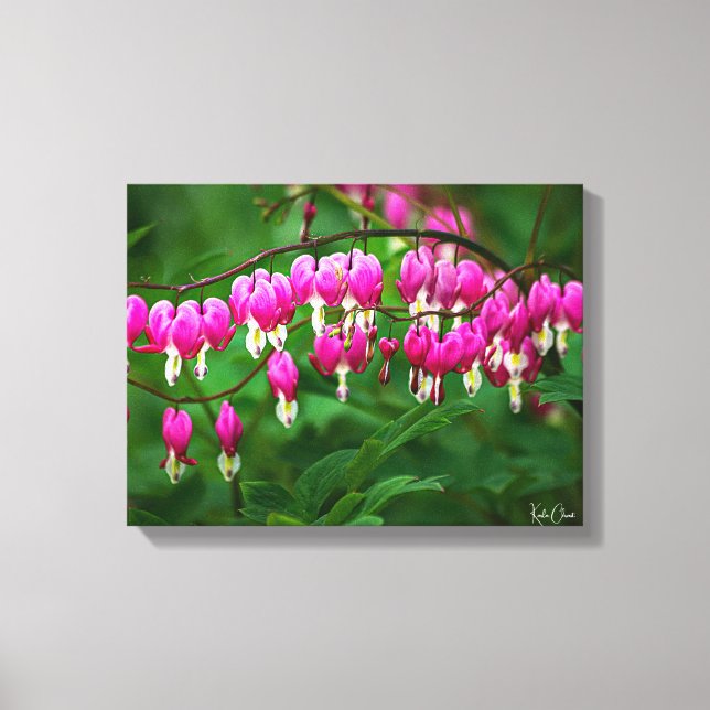Blutendes Herz Leinwanddruck (Vorderseite)