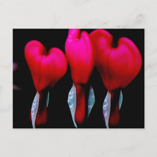 Blutendes Herz Postkarte