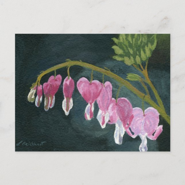 Blutendes Herz Postkarte (Vorderseite)