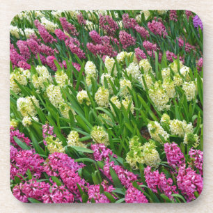 Blütengarten mit blühenden Hyazinthe Untersetzer