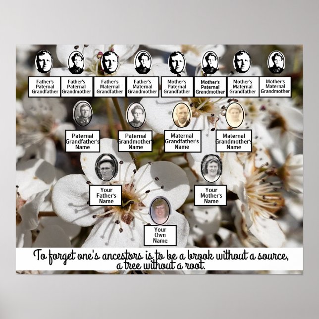 Blütengewächse Foto Familienbaumposter Poster (Vorne)