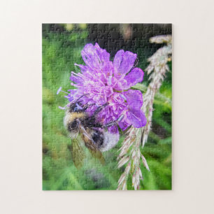Blütenglück – Naturpuzzle mit Hummel auf Skabiose