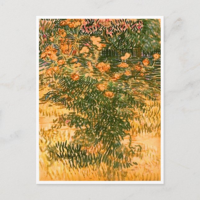 Blütenjungen, Vincent van Gogh Postkarte (Vorderseite)