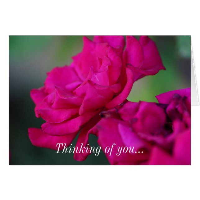 Blütenrosa Rose Denken Sie an Ihre Karte (Vorderseite (Horizontal))