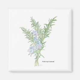 Blütenrosemary Magnet