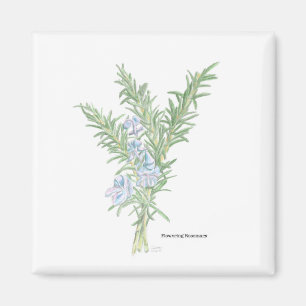 Blütenrosemary Magnet