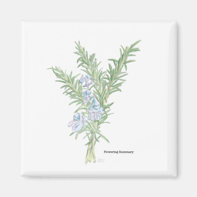 Blütenrosemary Magnet (Vorne)