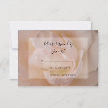 Blütenrot Rosa Blumenrosen RSVP Reaktion auf Hochz