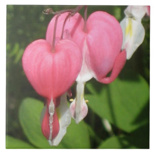 Blutergüsse Herz - große Keramik Foto Tile Fliese