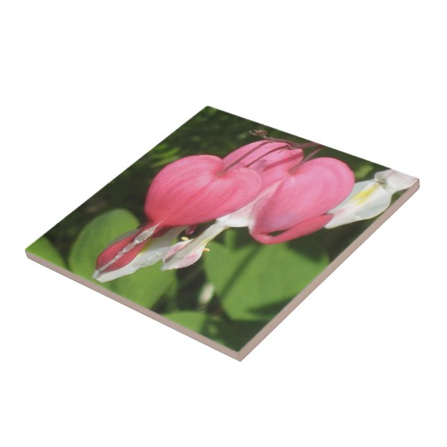 Blutergüsse Herz Kleine Keramik Foto Tile Fliese (Seite)