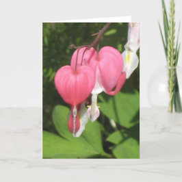 Blutergüsse Herz - Portrait Grußkarte Karte