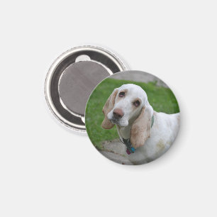 Blutfass Magnet