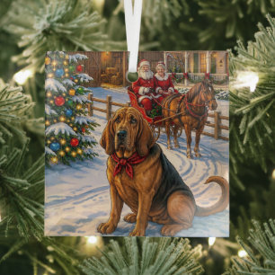 Bluthund-Feiertag  Ornament Aus Glas