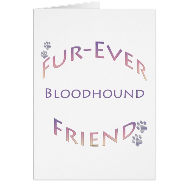 Bluthund Furever (Vorne)