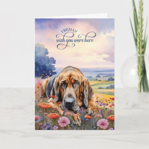 Bluthund-Hund-Wildblumen-Fehlende-Dich Karte