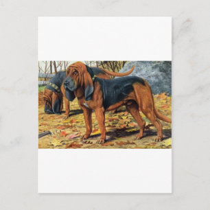 Bluthund Postkarte
