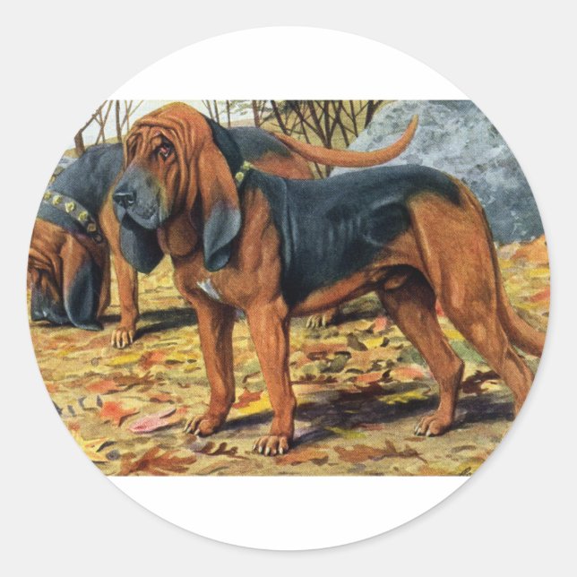Bluthund Runder Aufkleber (Vorderseite)