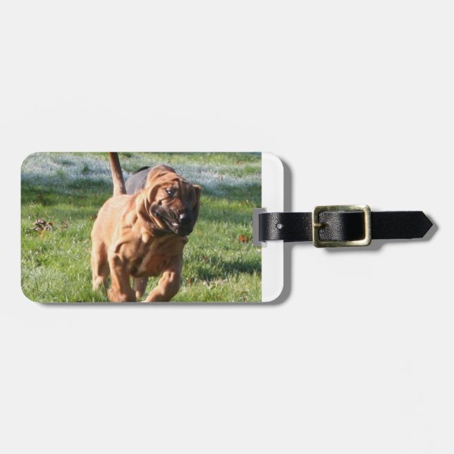 Bluthund running.png gepäckanhänger (Vorderseite horizontal)
