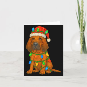 Bluthund Weihnachtslichter Hunde Liebhaber Xmas Sc Karte
