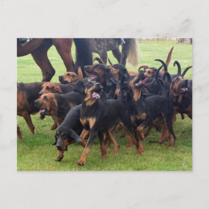 Bluthunde Postkarte