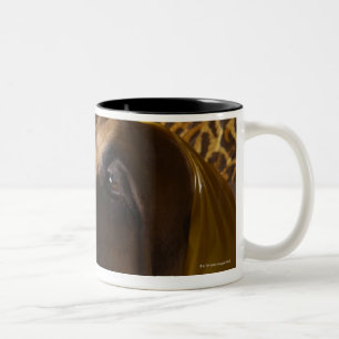 Bluthundhund Zweifarbige Tasse